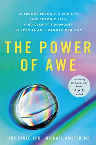The Power of Awe by Jake Eagle and Michael Amster